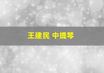 王建民 中提琴